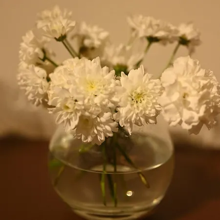 ホテル Niche Boutique