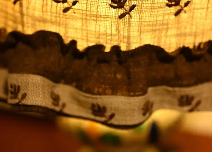 Niche Boutique 地拉那