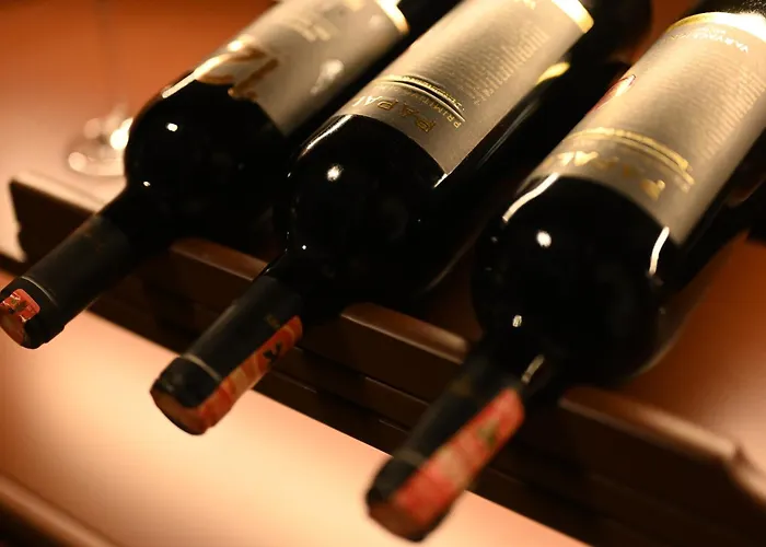 Niche Boutique 酒店 地拉那