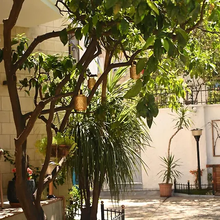 Hotel Niche Boutique 4*