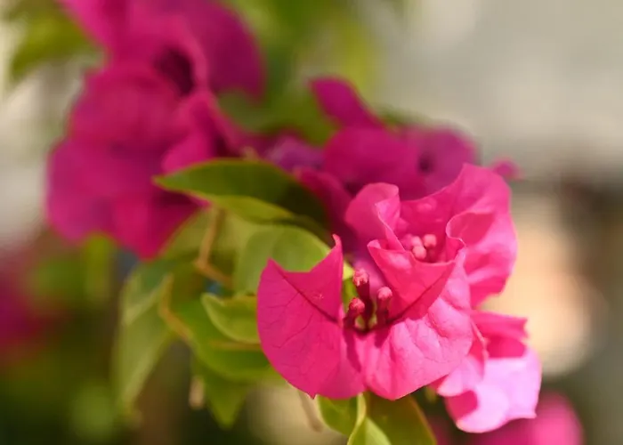 Niche Boutique Отель 4*